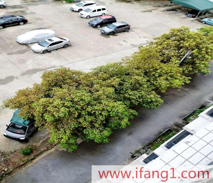 石排小產(chǎn)權(quán)房?jī)r(jià)格