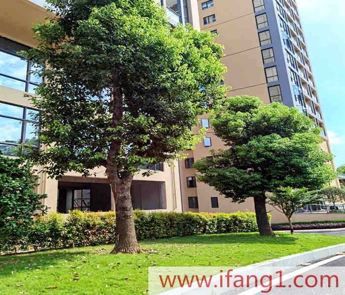 鳳崗小產(chǎn)權(quán)房買賣