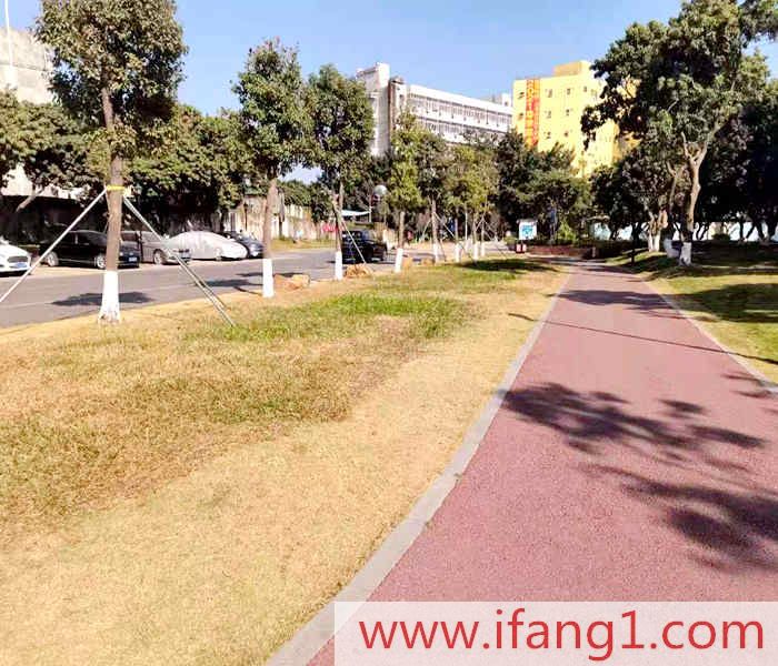 沙井小產(chǎn)權(quán)網(wǎng)站